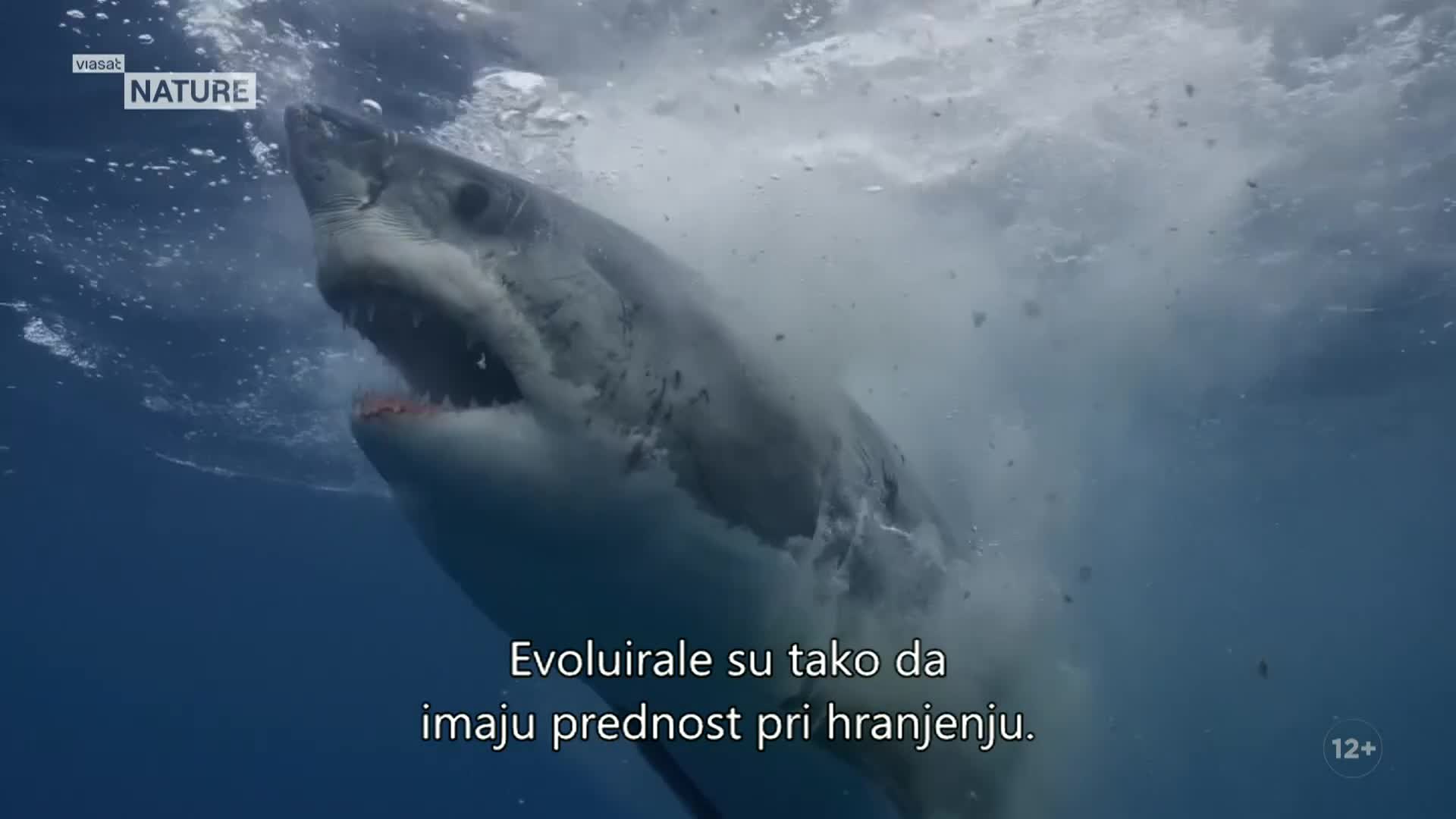 ViasatNature