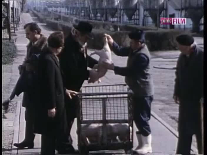 PinkFilm