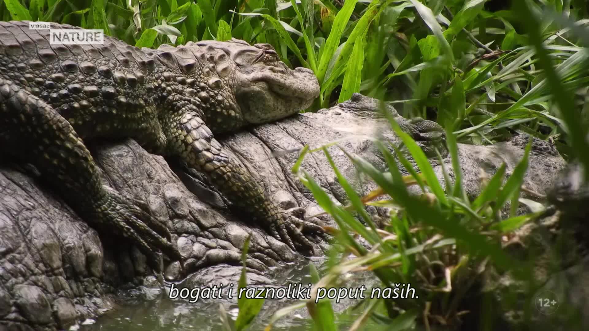ViasatNature