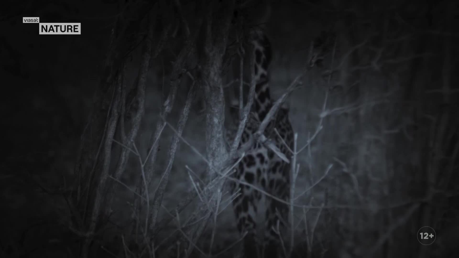 ViasatNature
