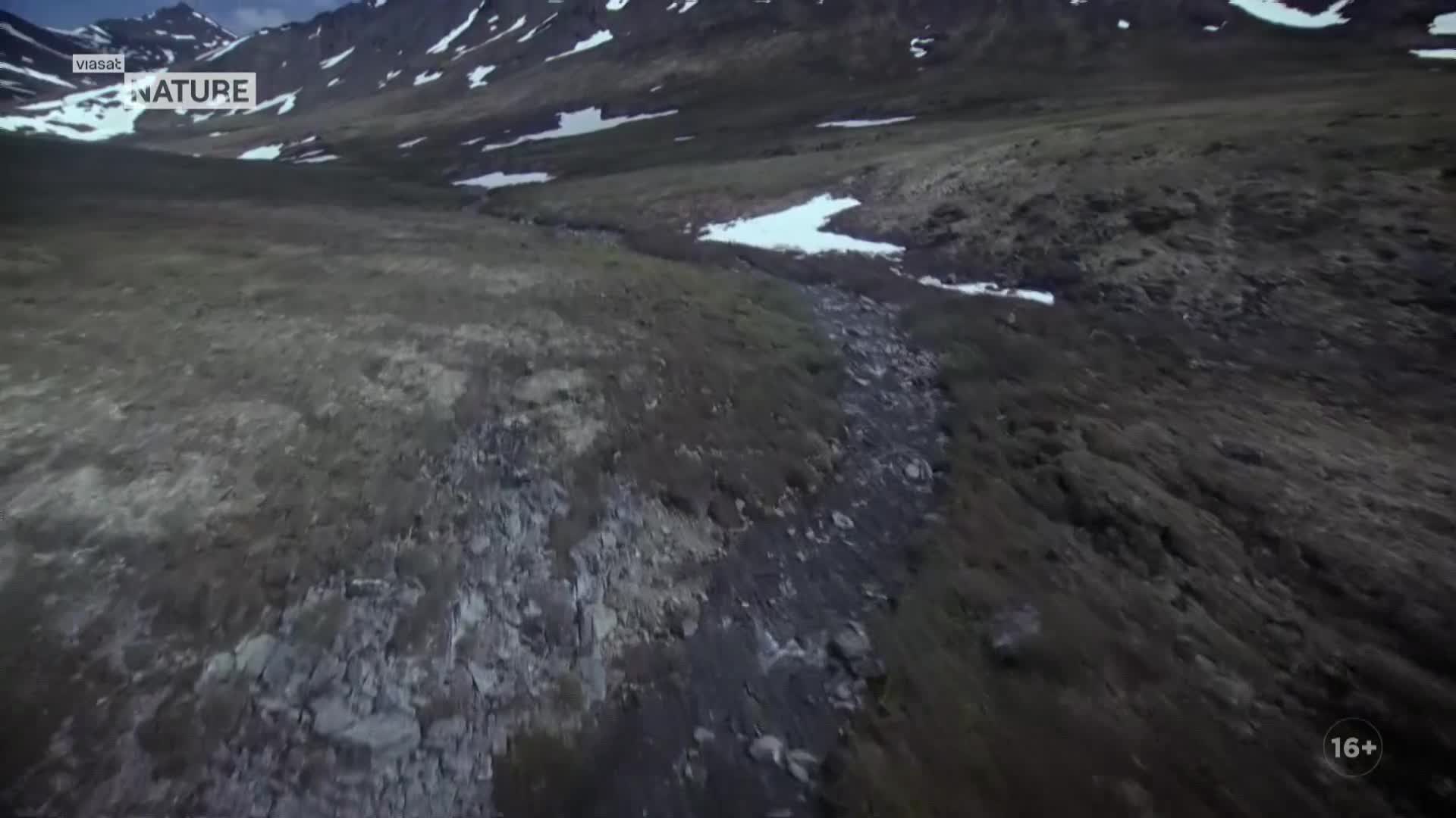 ViasatNature