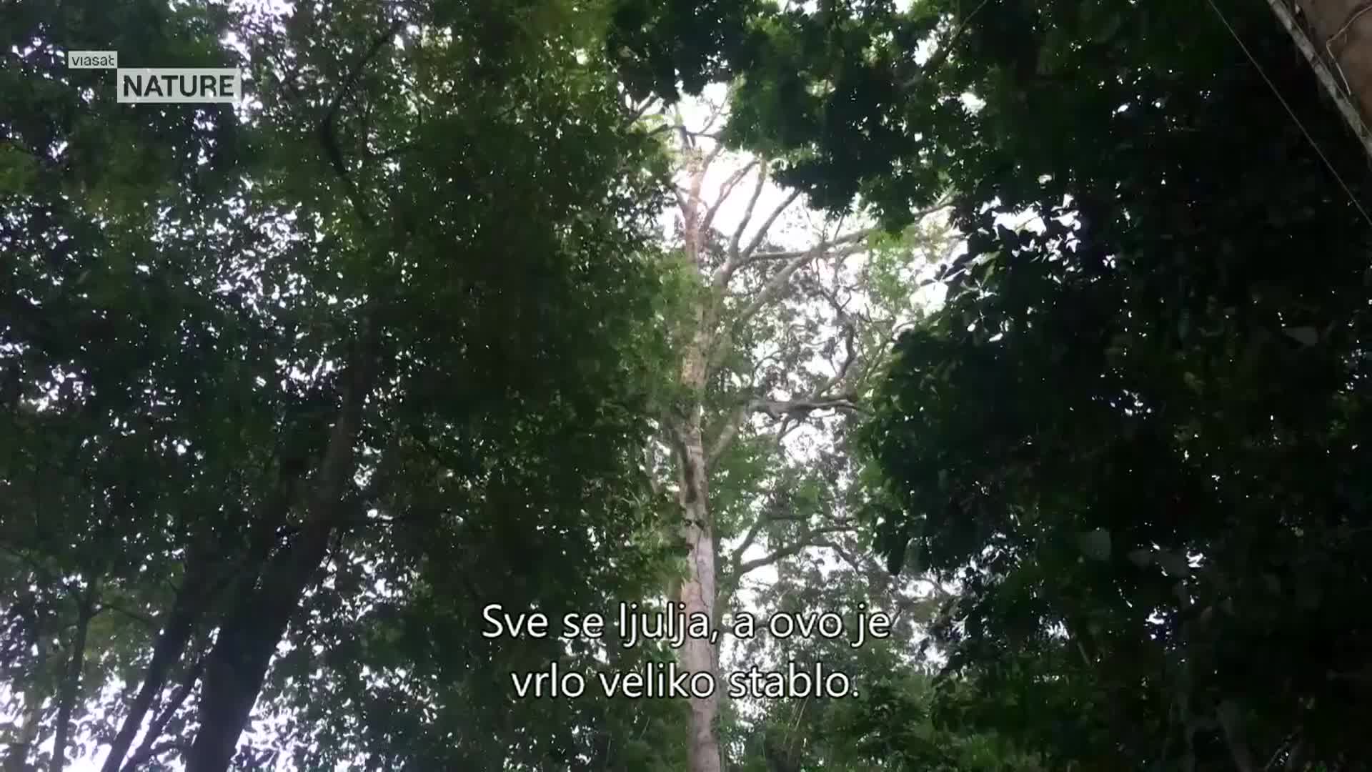 ViasatNature
