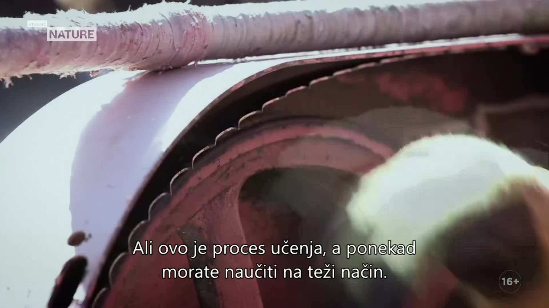 ViasatNature