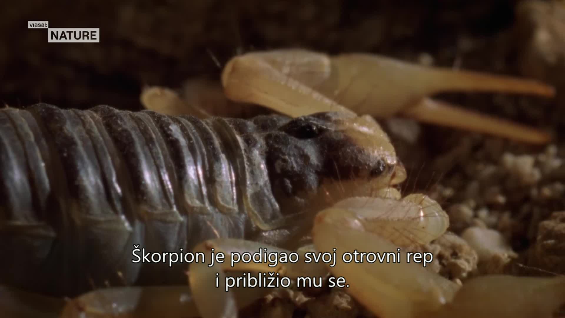 ViasatNature