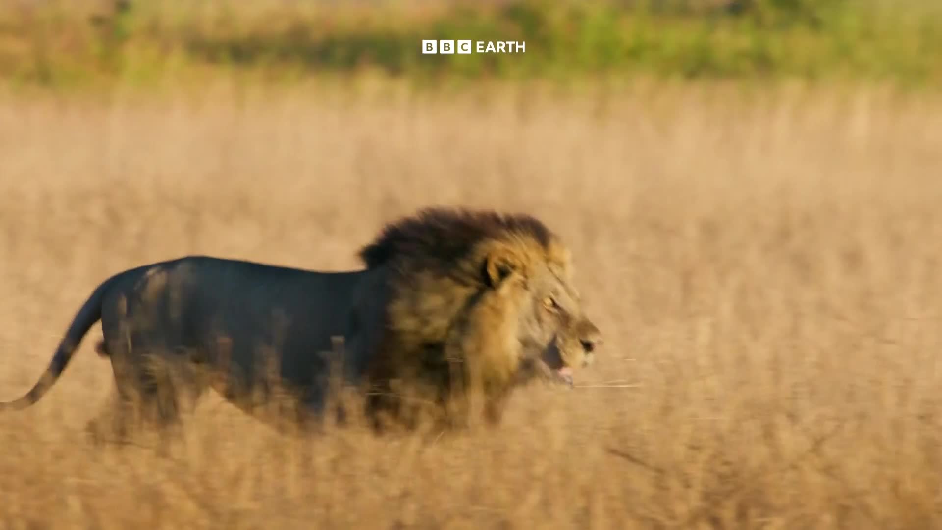 BBCEarth