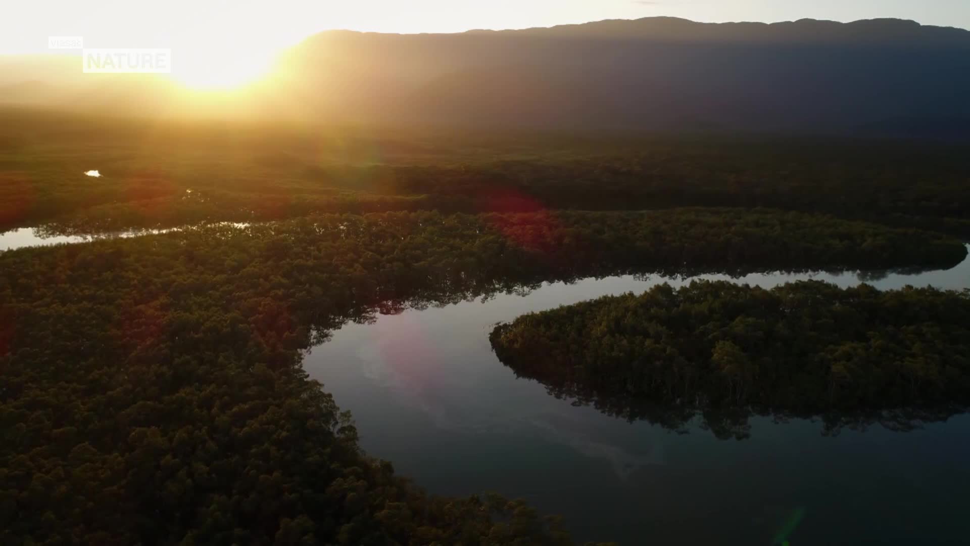 ViasatNature