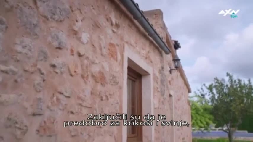 AXNSpin