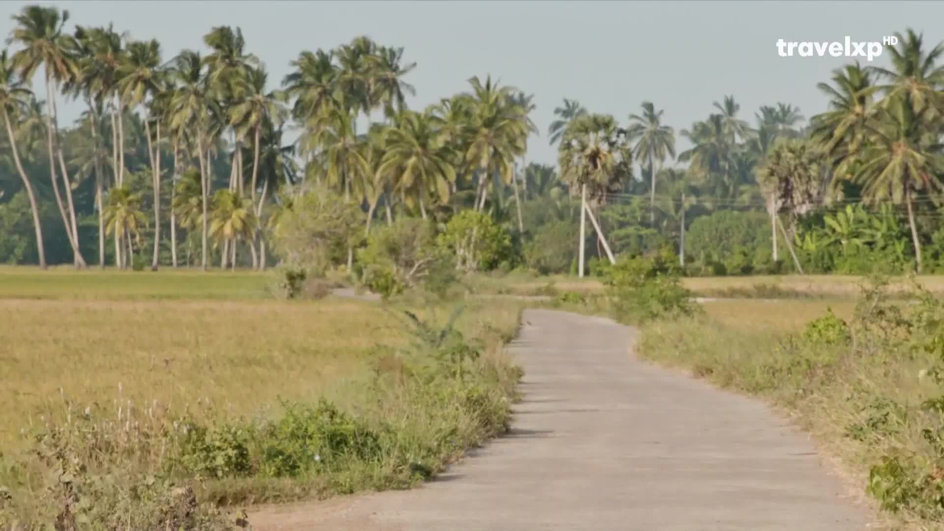 Travel