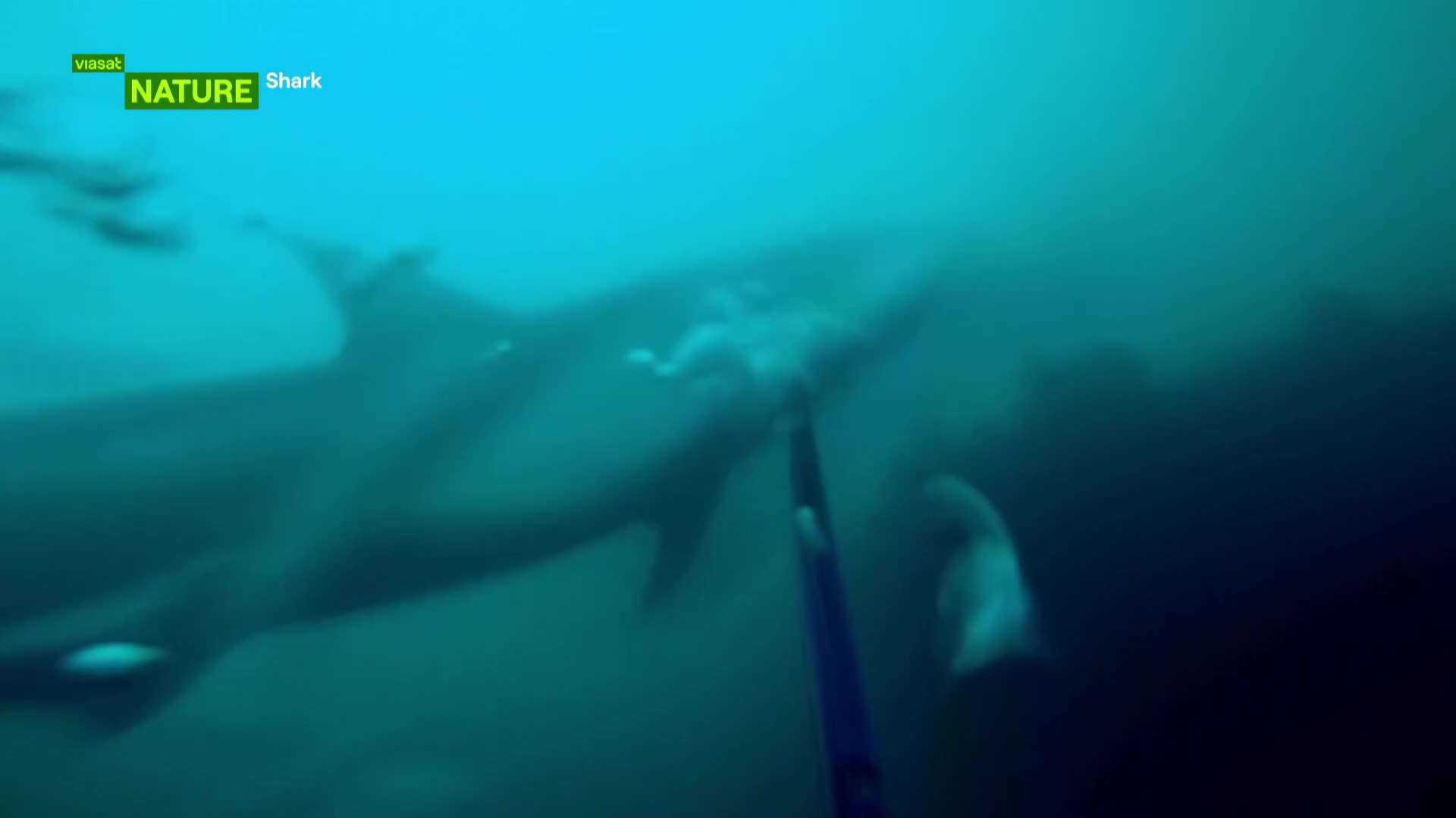 ViasatNature