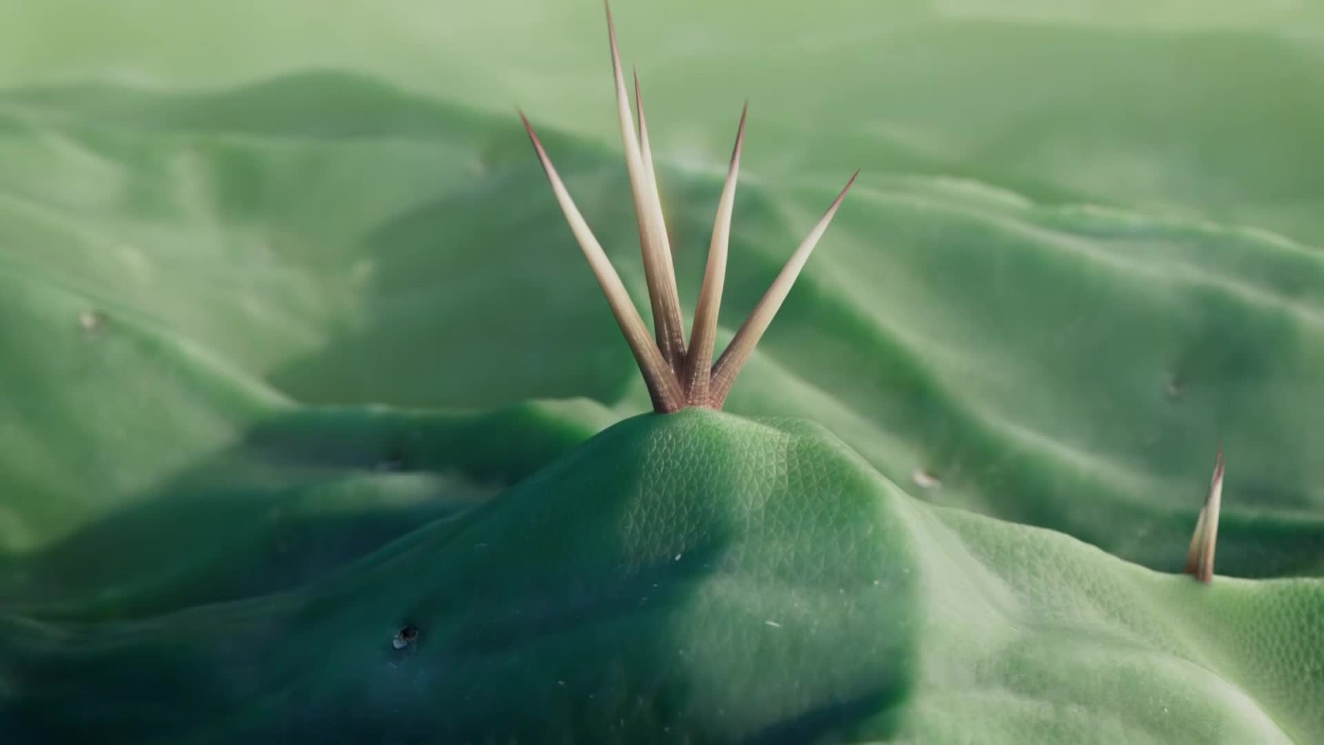 ViasatNature