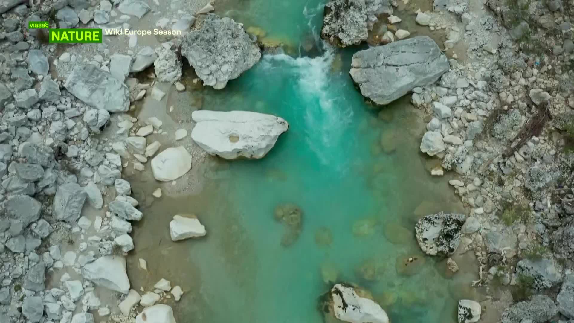 ViasatNature