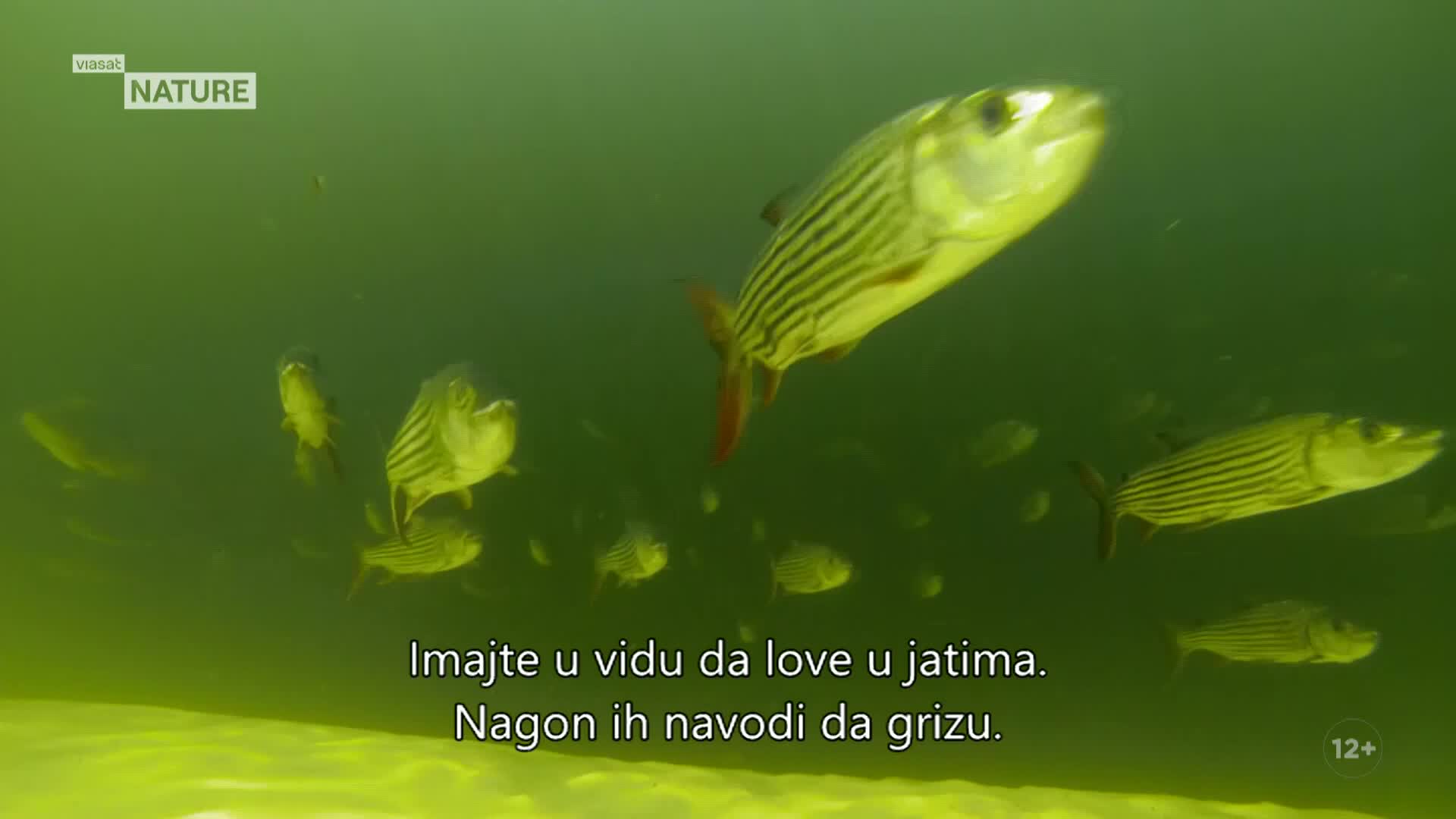 ViasatNature