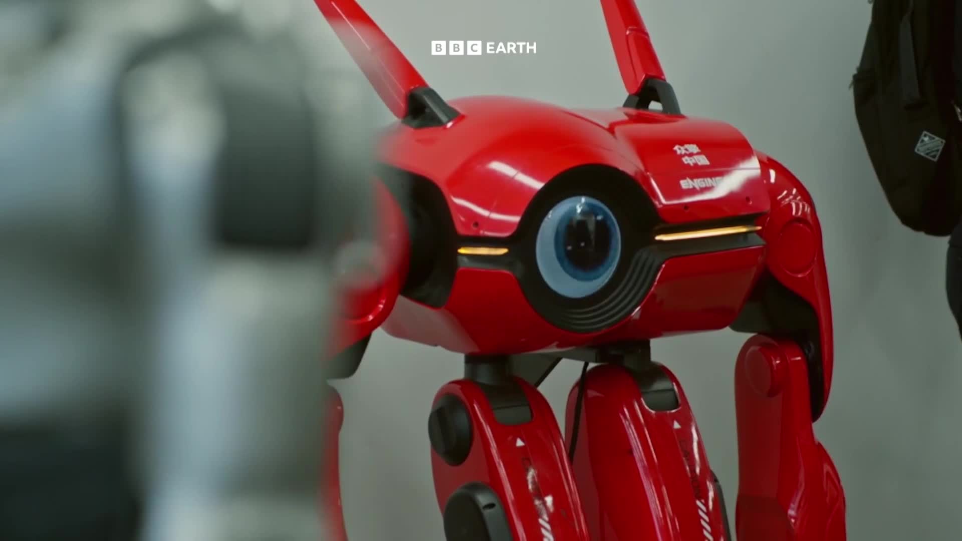 BBCEarth