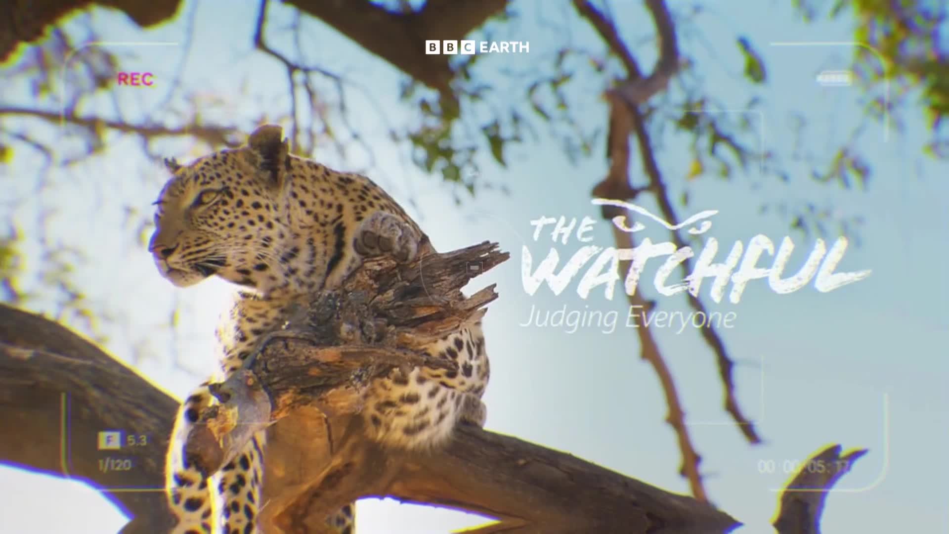 BBCEarth
