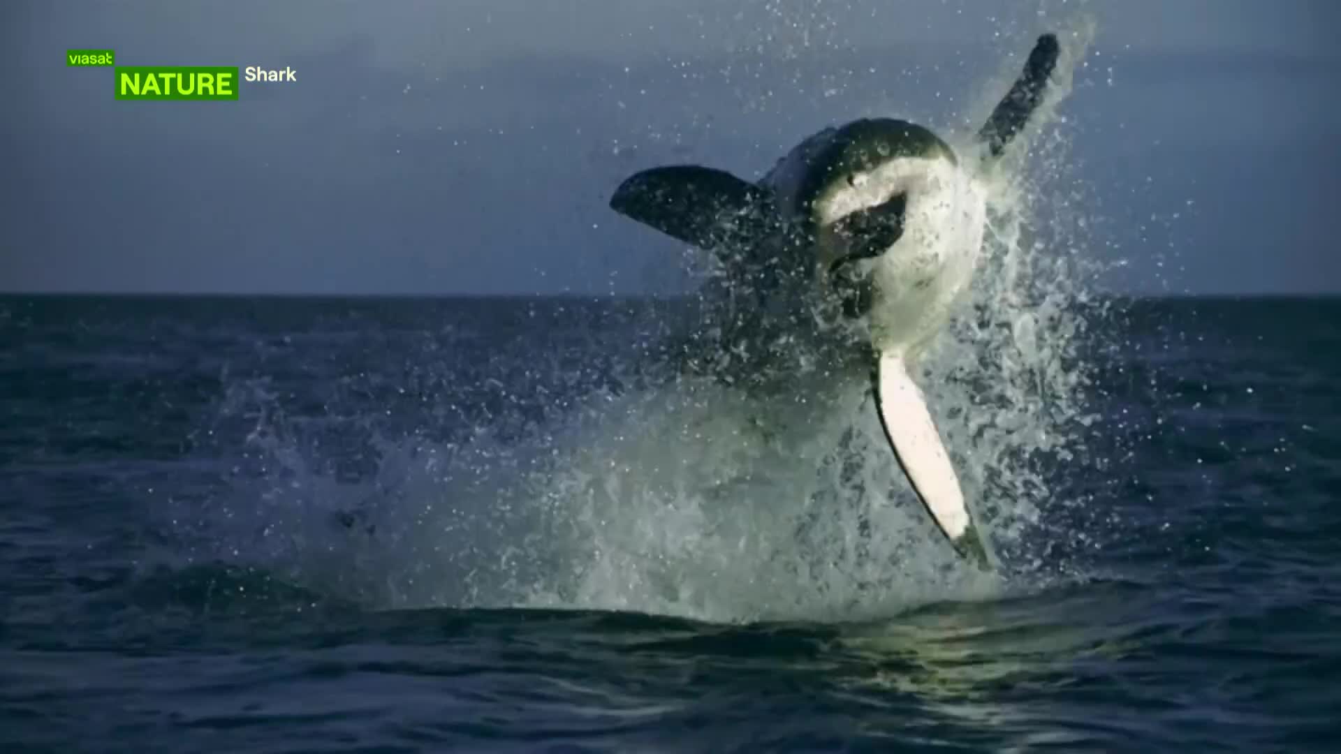 ViasatNature