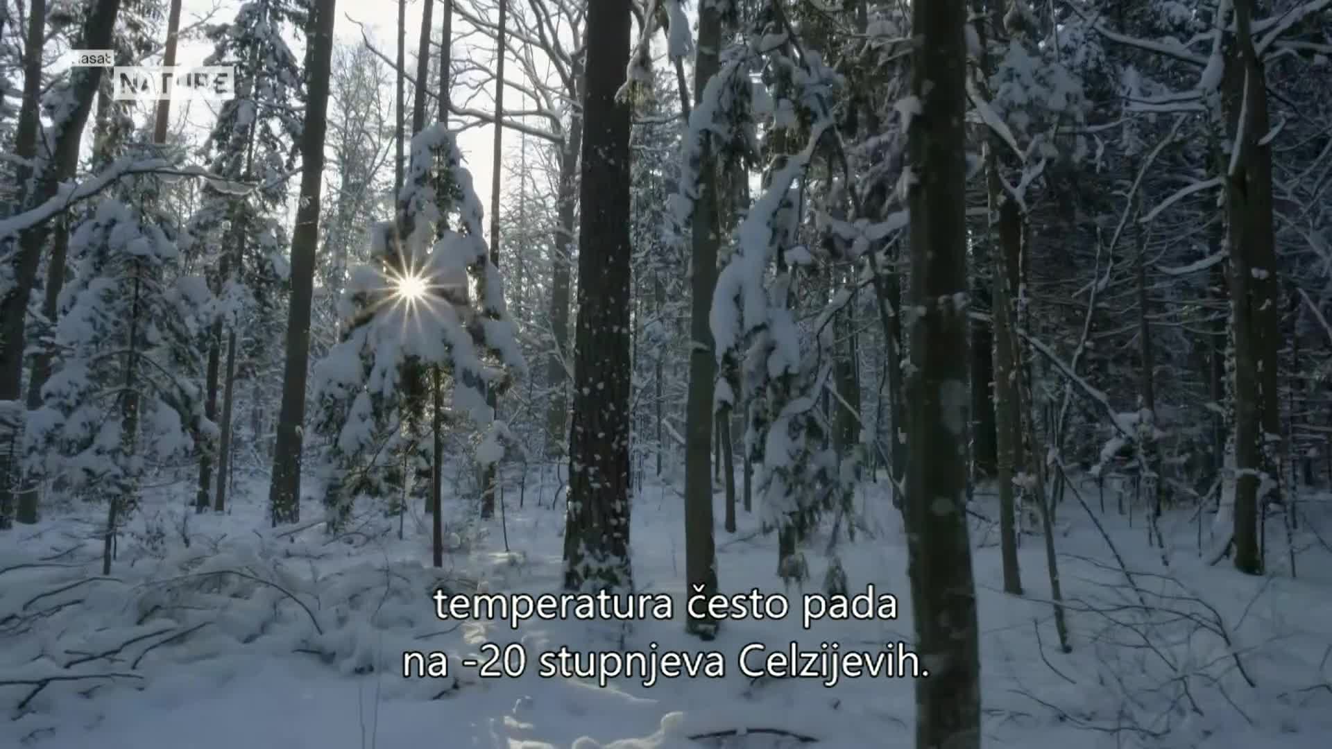 ViasatNature