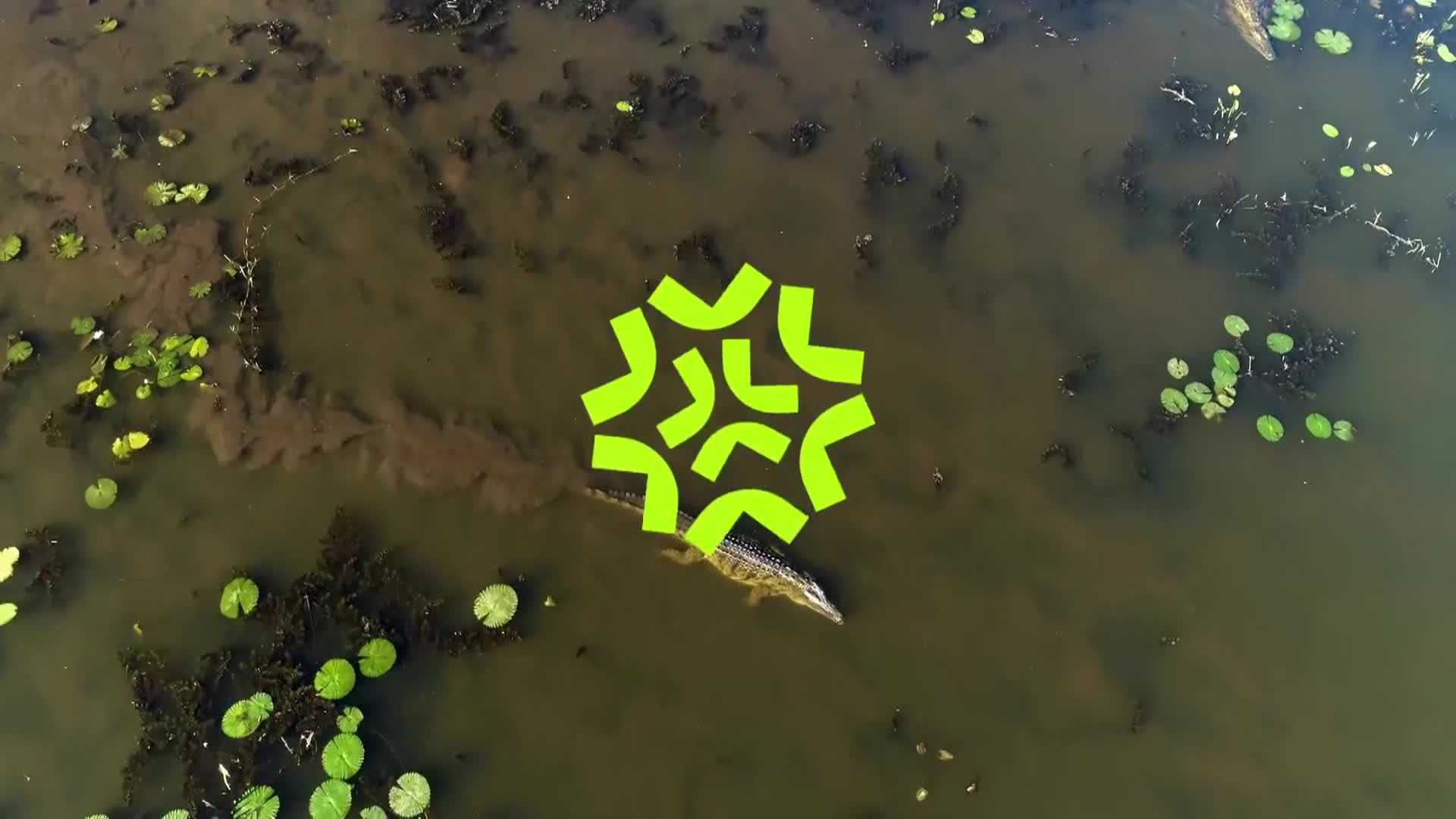 ViasatNature