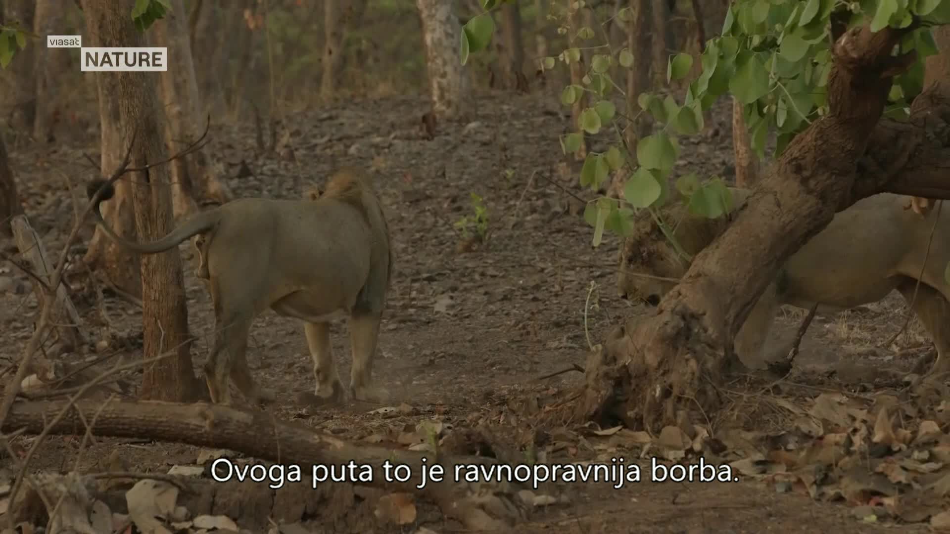 ViasatNature