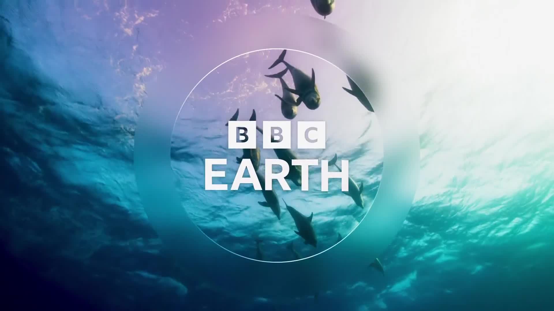 BBCEarth
