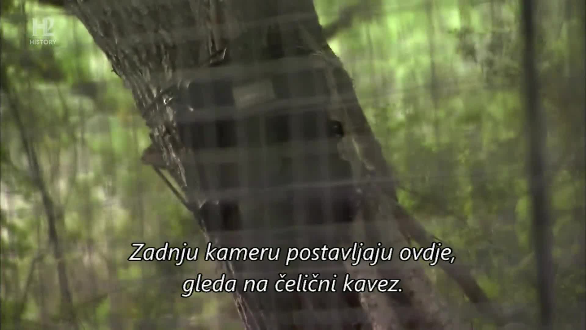 History2