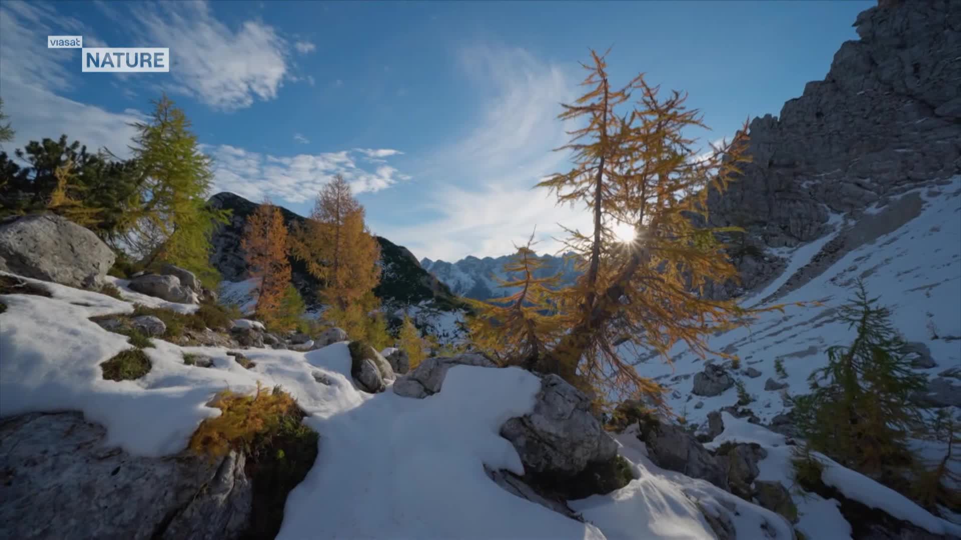 ViasatNature