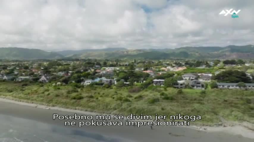 AXNSpin