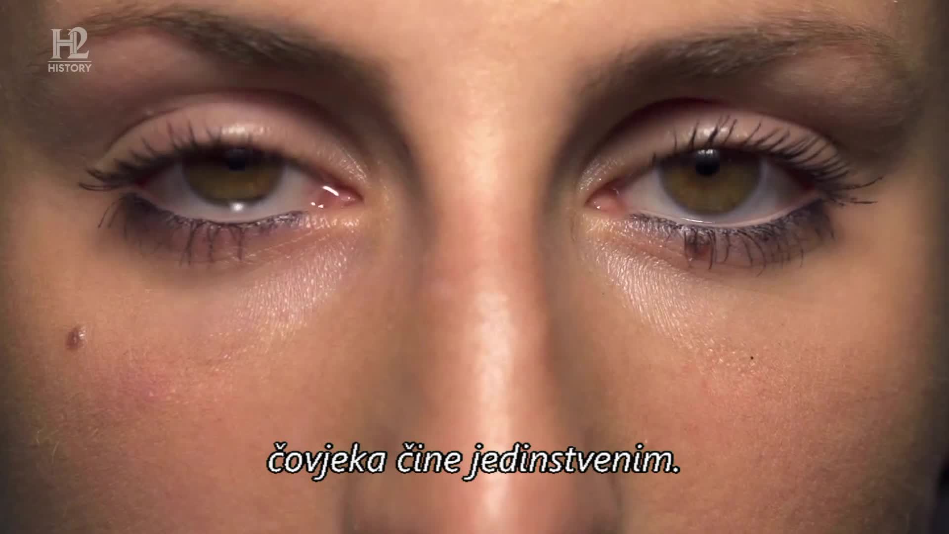 History2