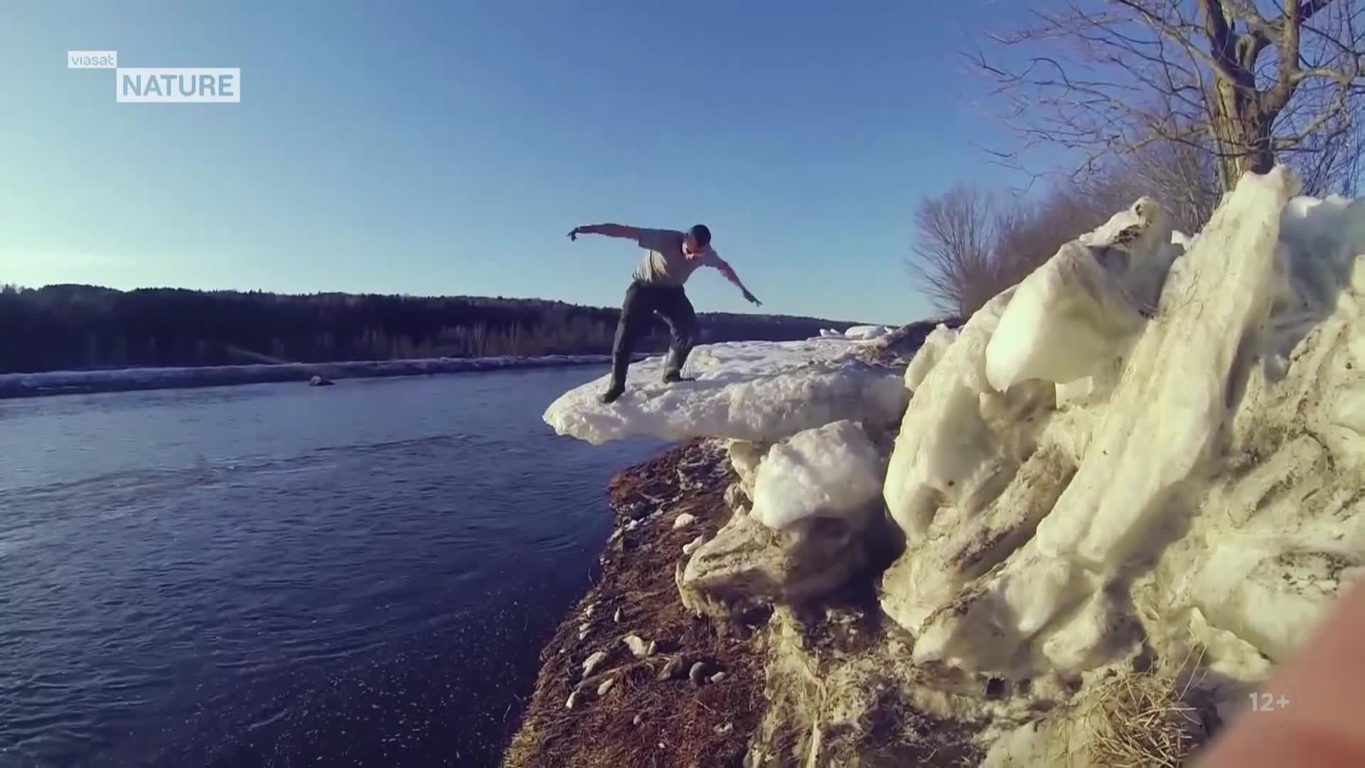 ViasatNature