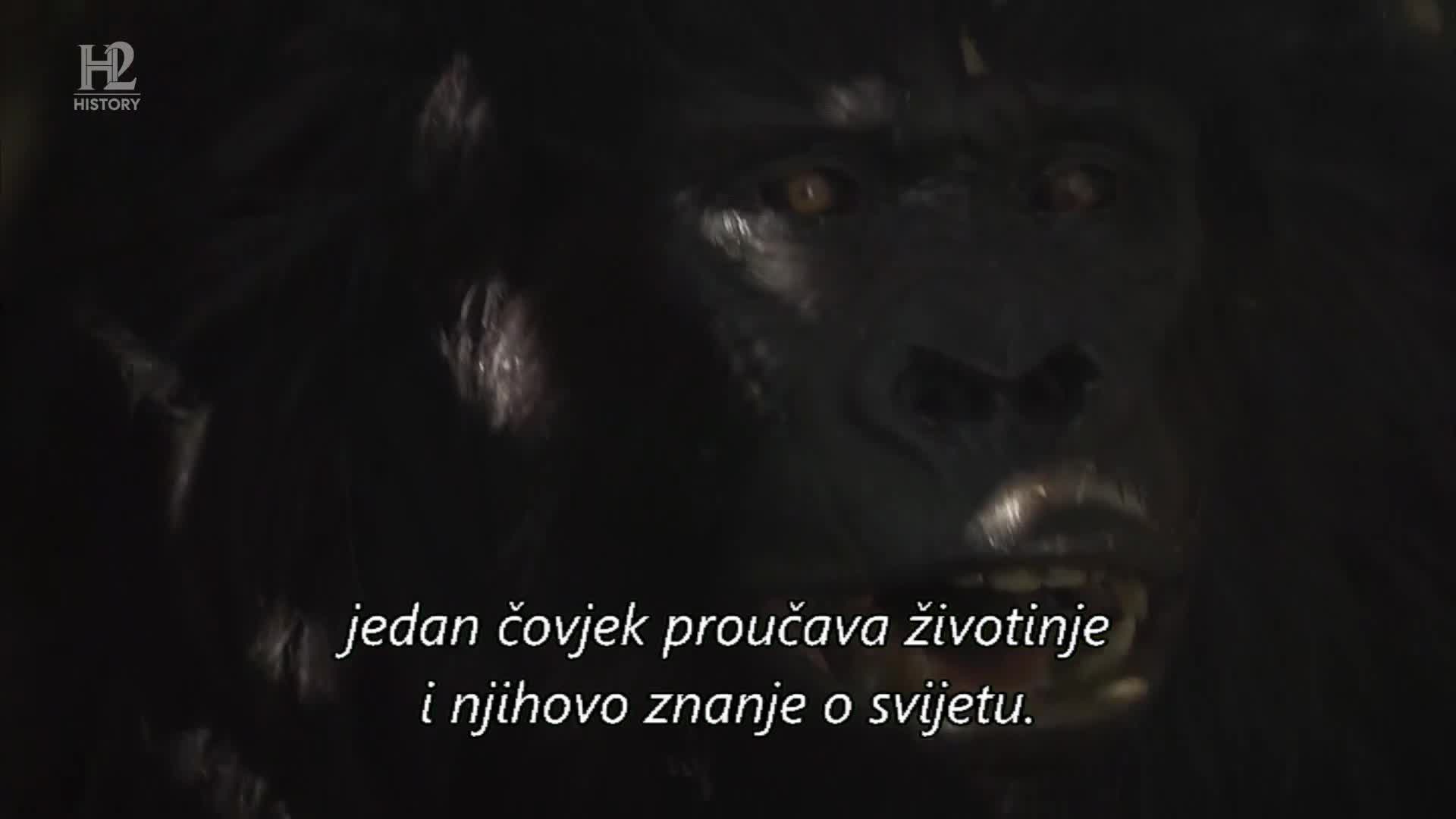 History2