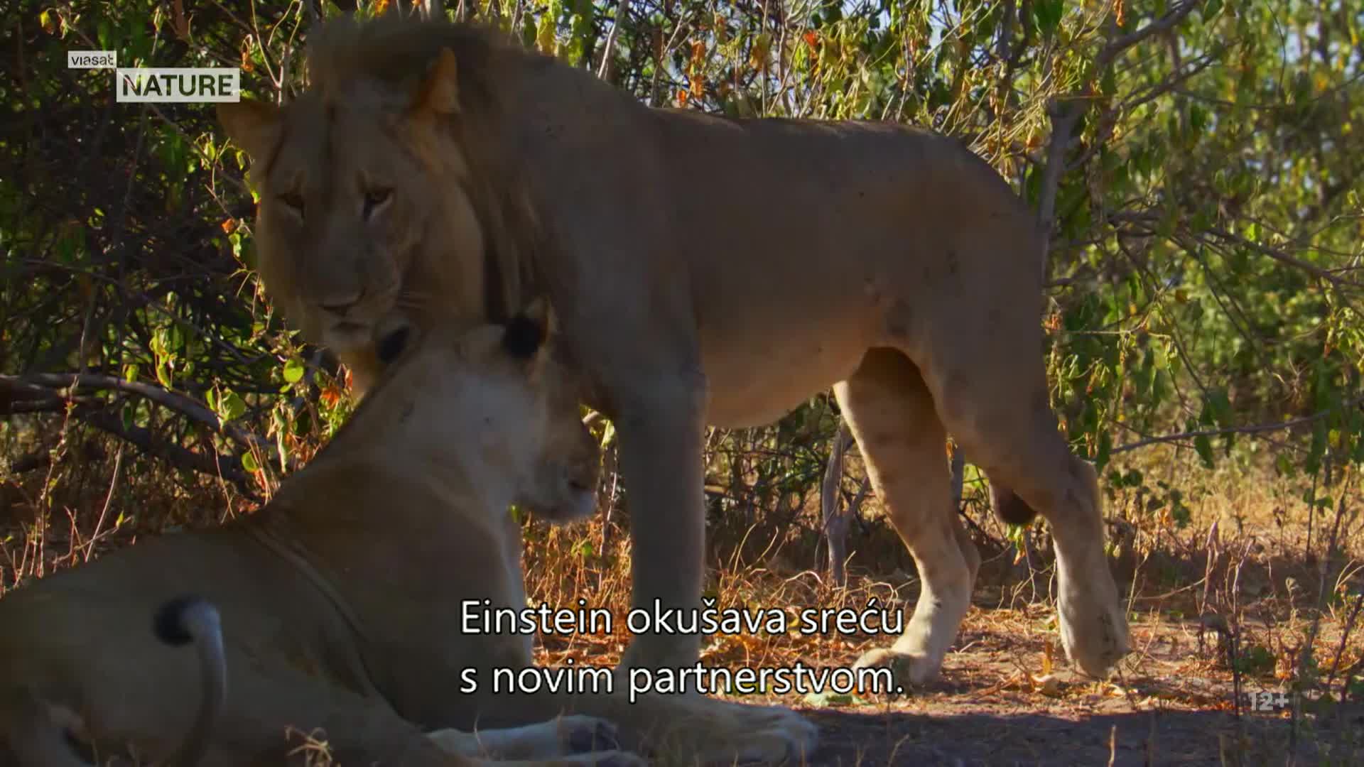 ViasatNature