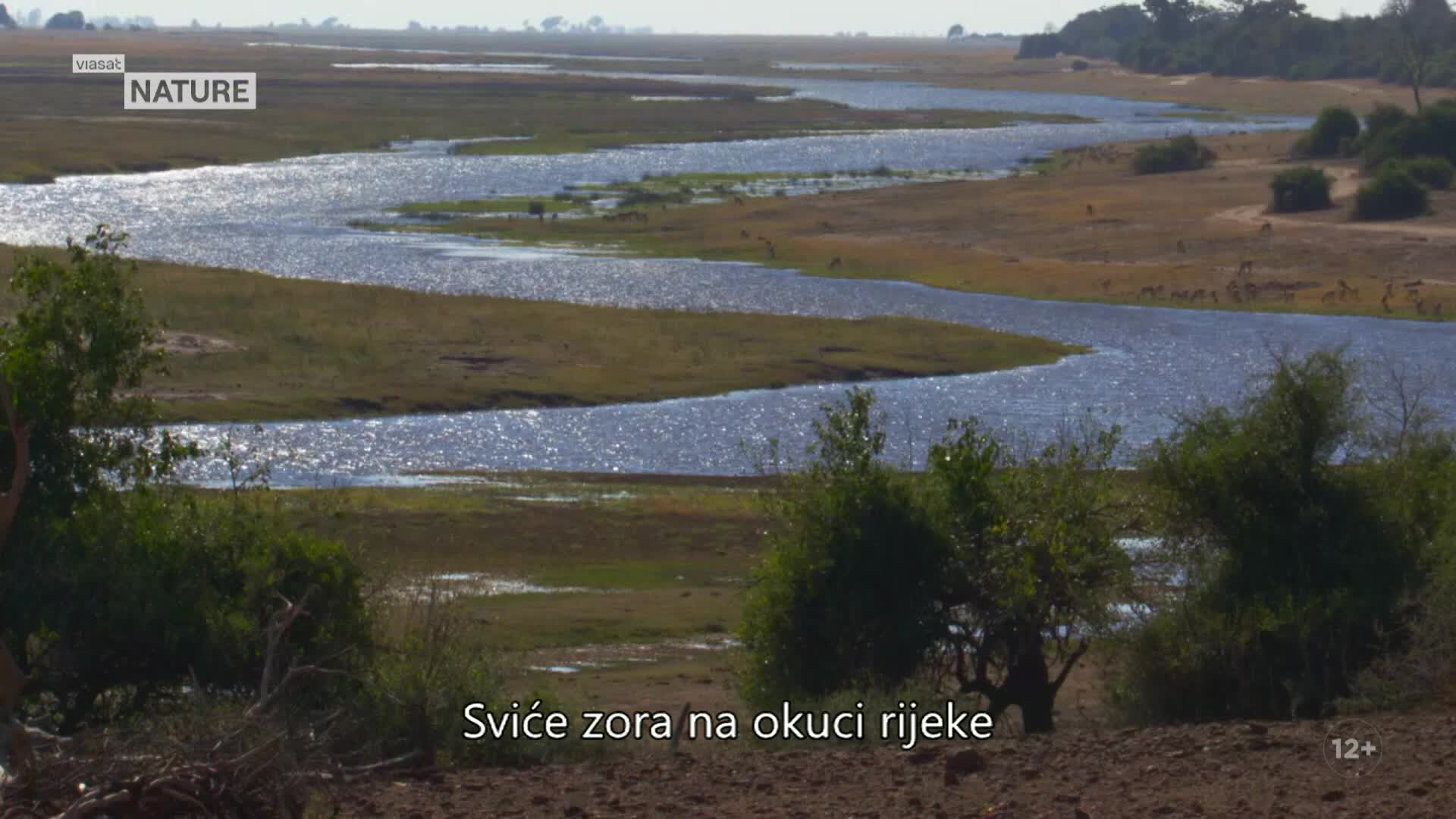 ViasatNature