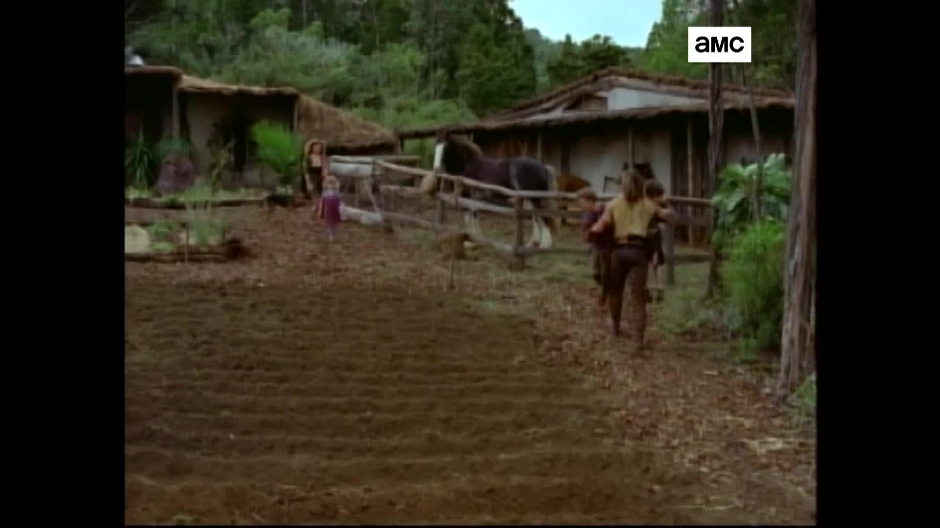 AMCHD