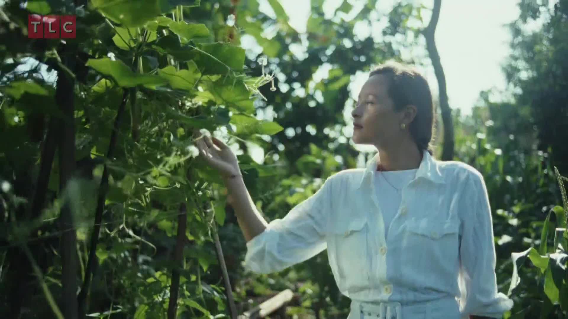 TLC
