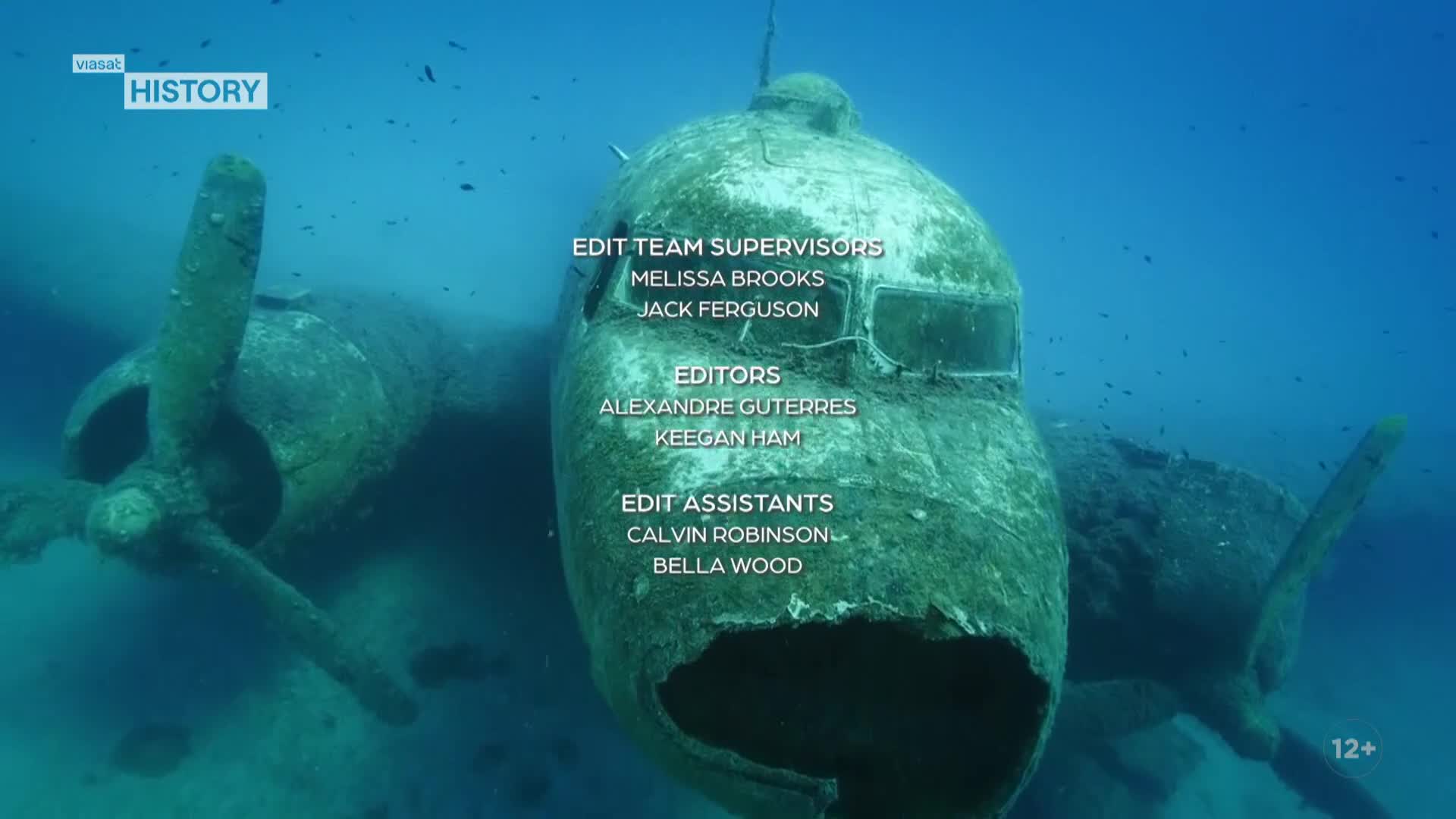 ViasatHistory
