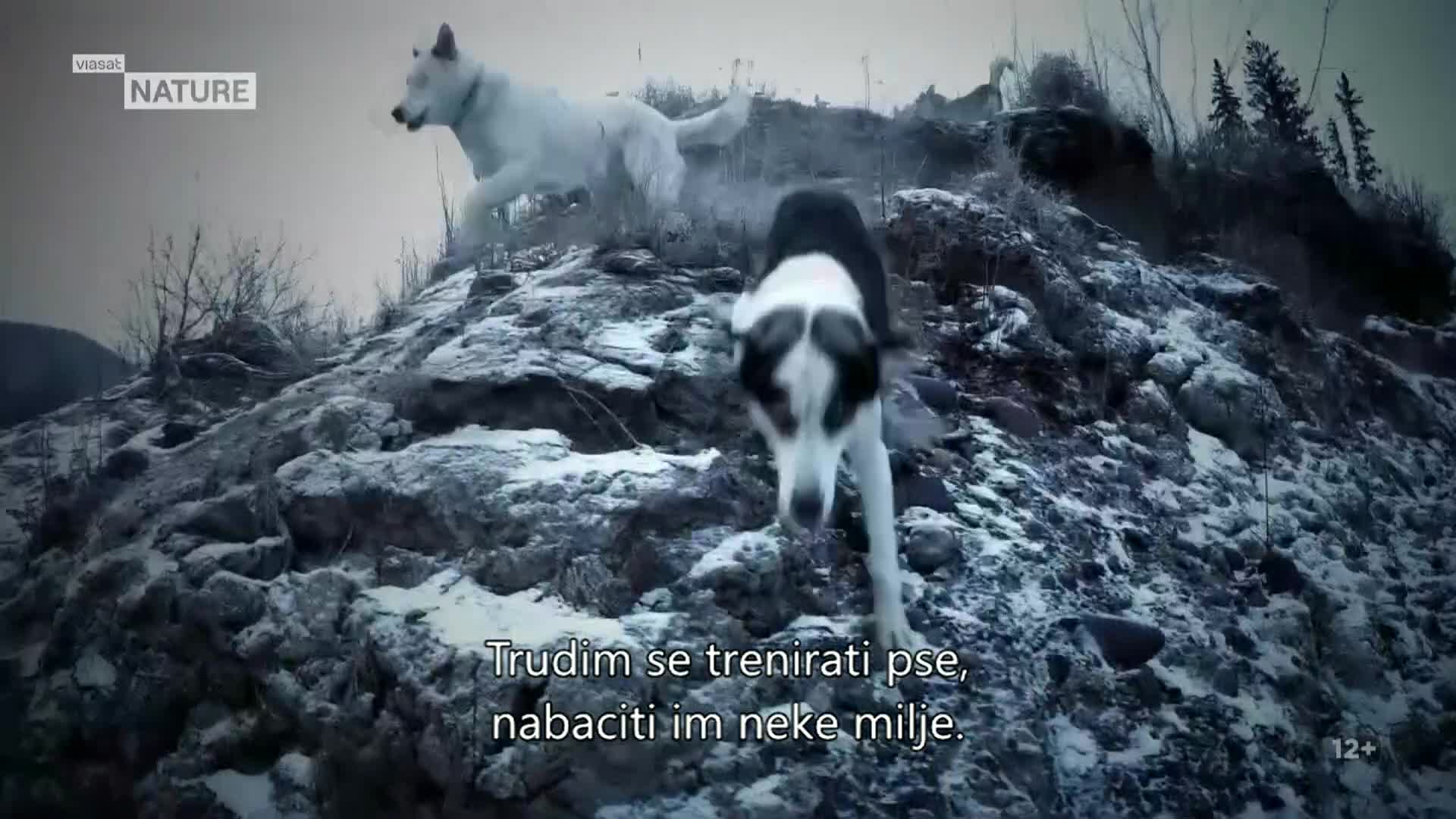 ViasatNature