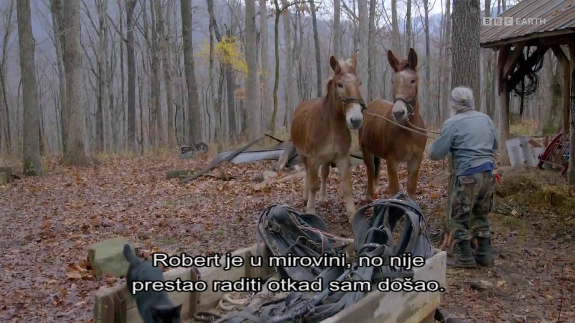 BBCEarth
