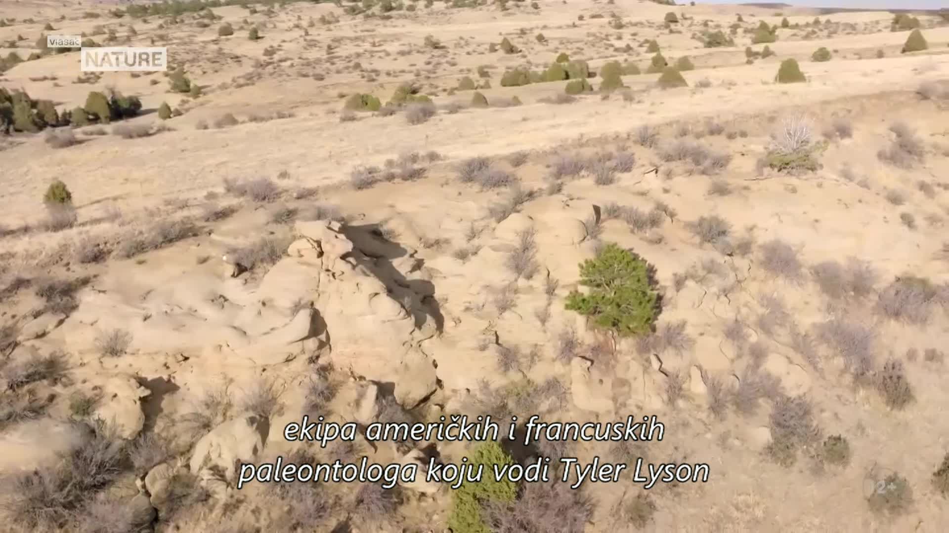 ViasatNature