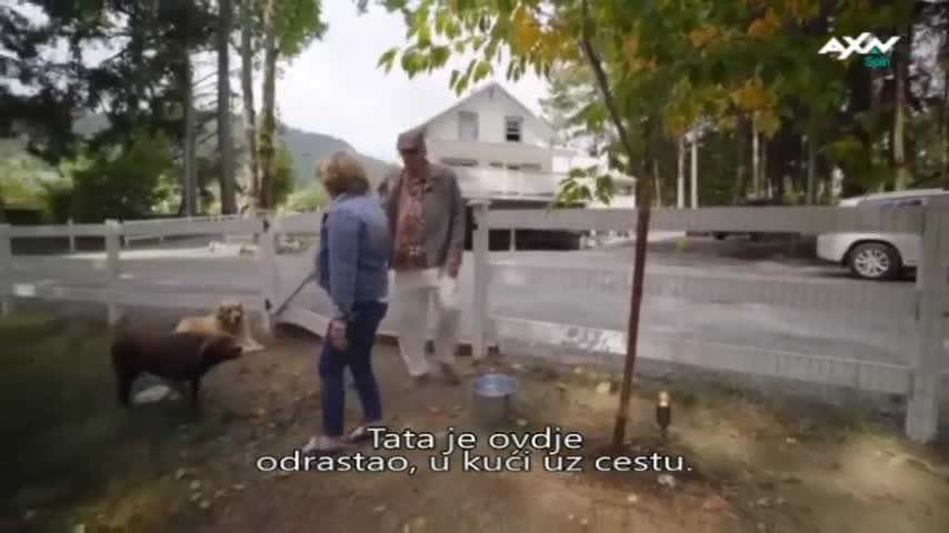 AXNSpin