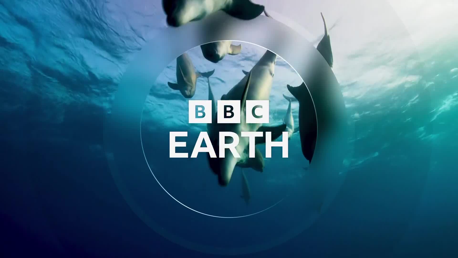 BBCEarth