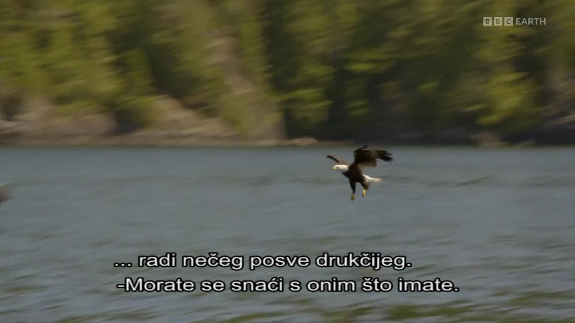 BBCEarth