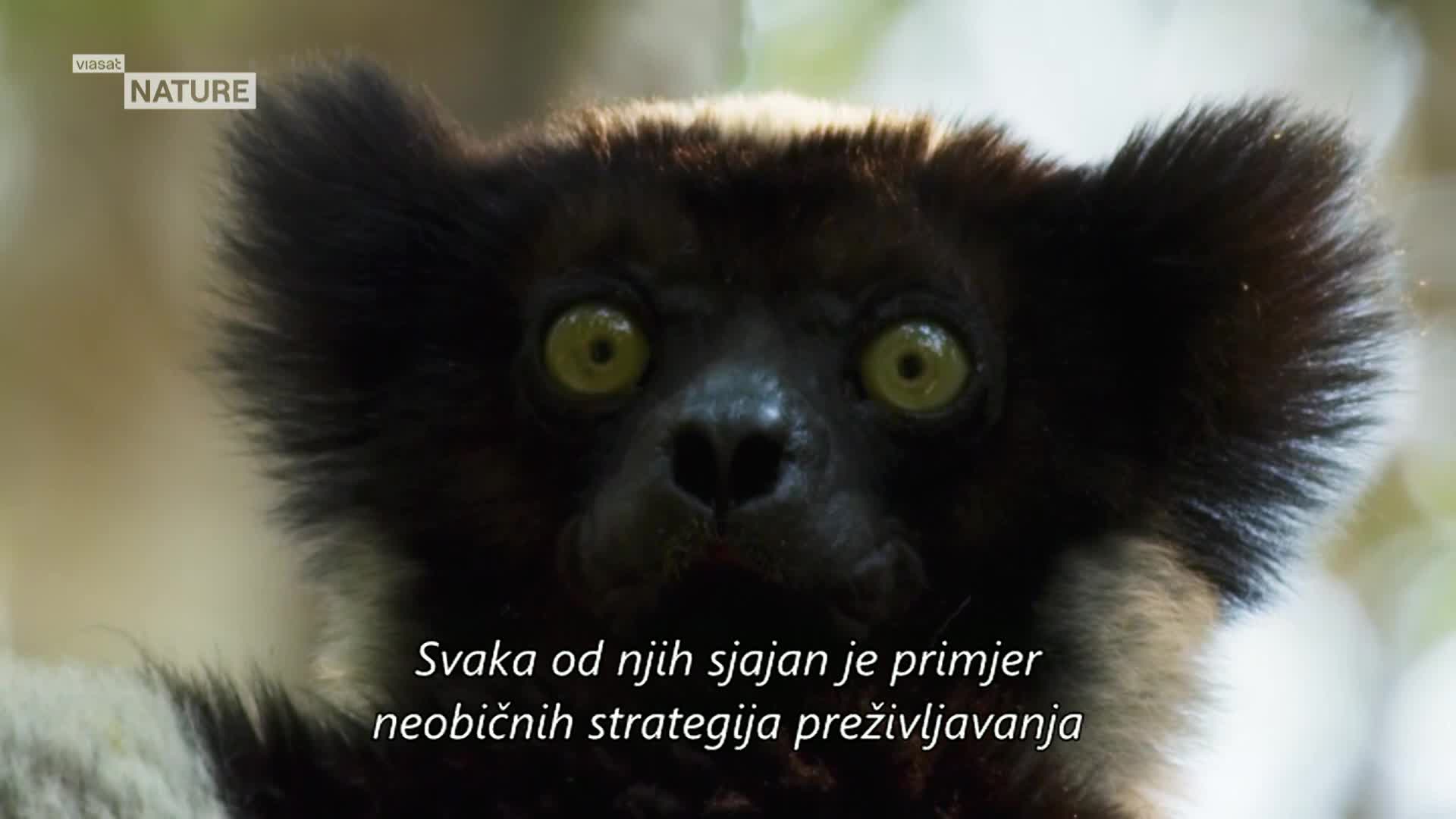 ViasatNature