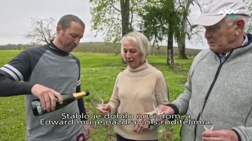 AXNSpin