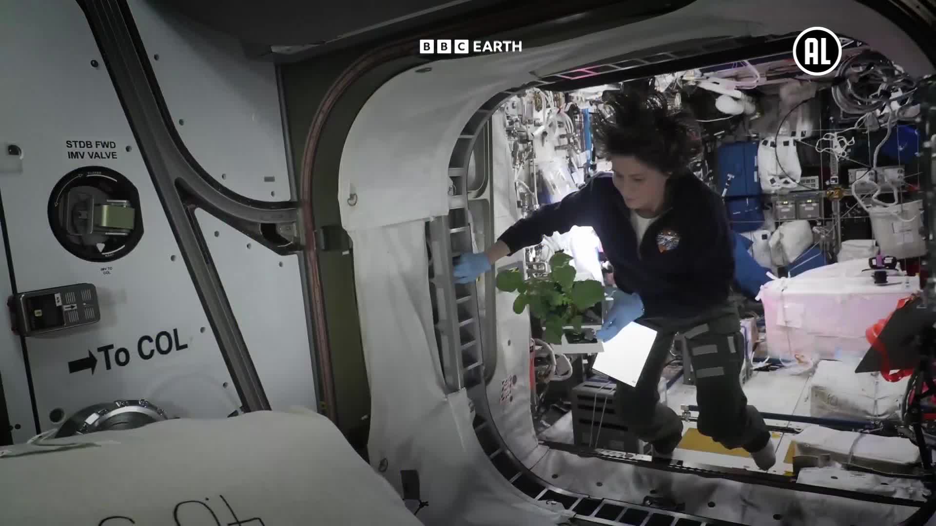 BBCEarth