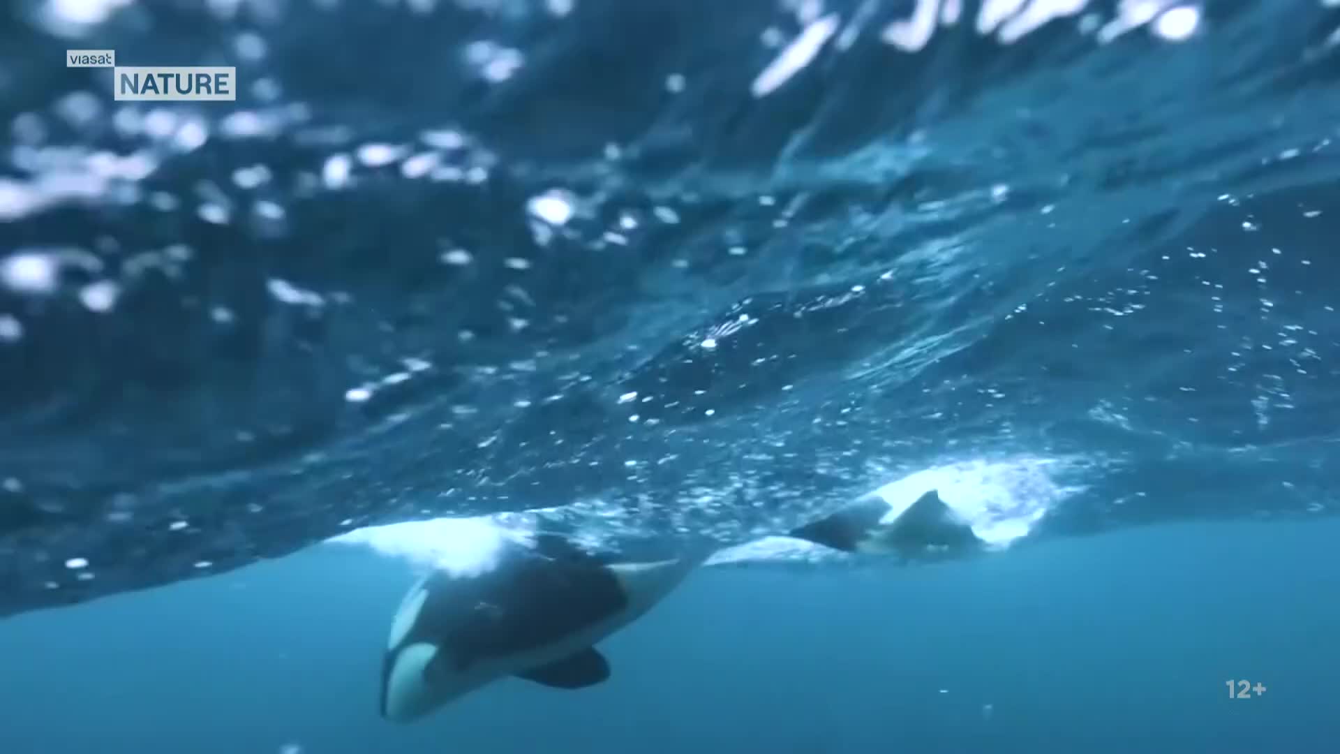 ViasatNature
