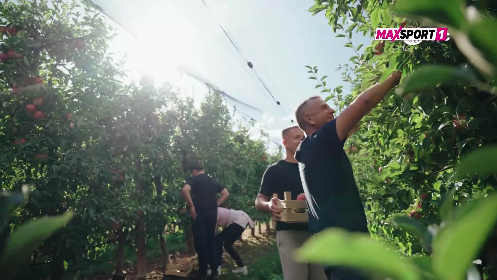 HNTV