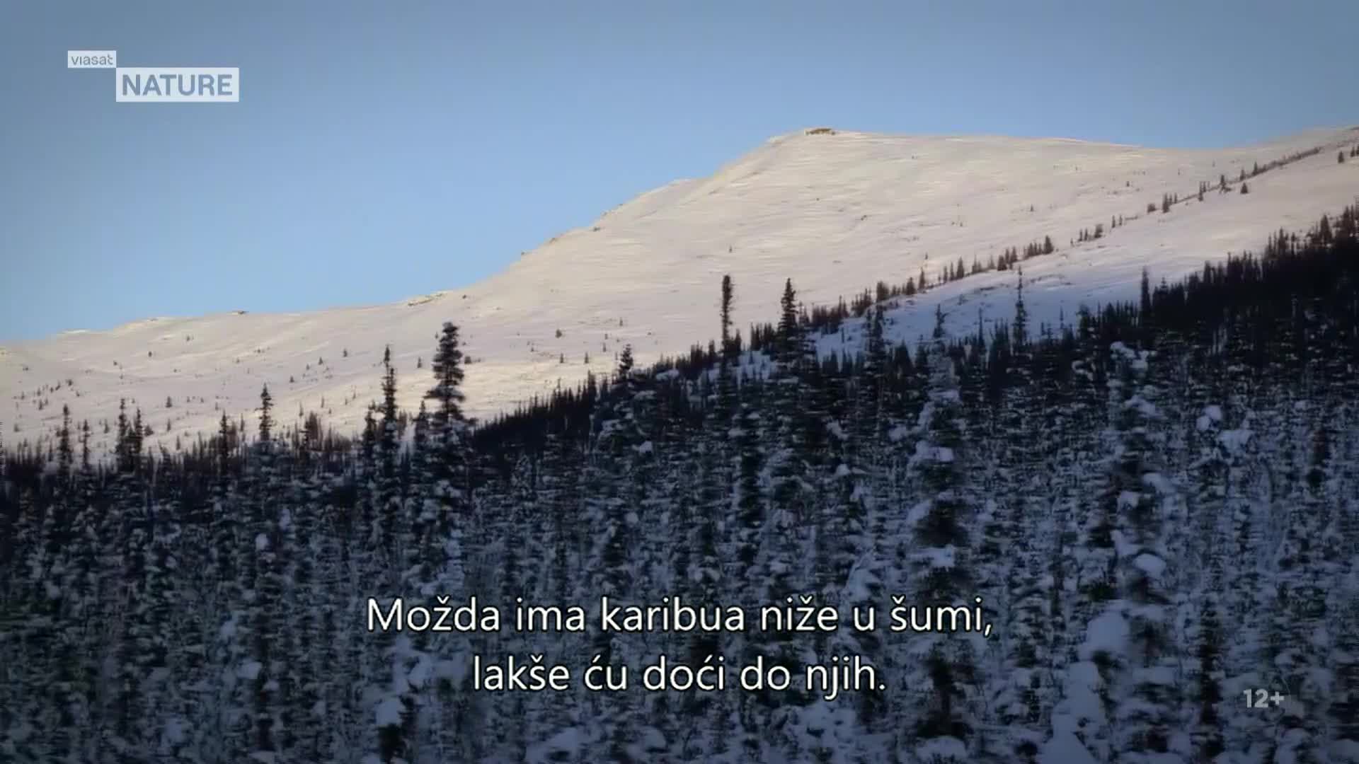 ViasatNature