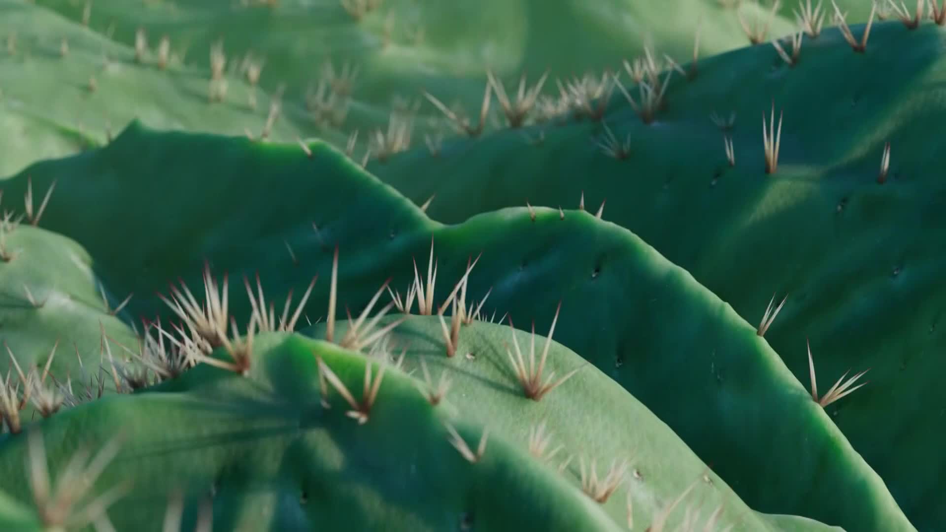 ViasatNature