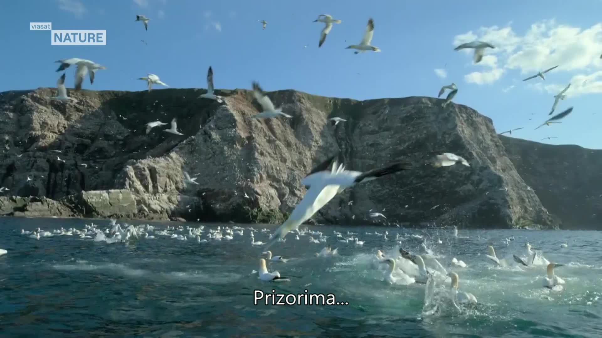ViasatNature