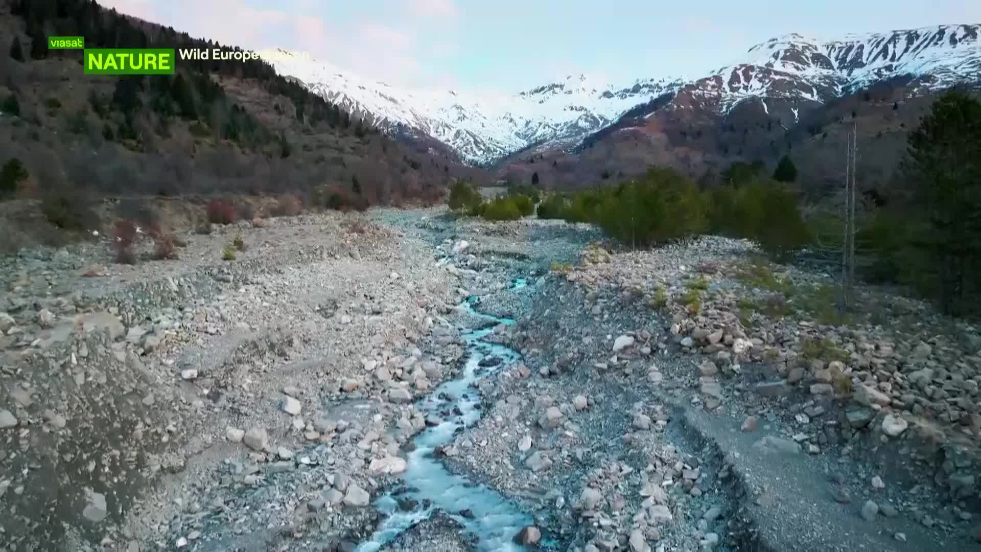 ViasatNature