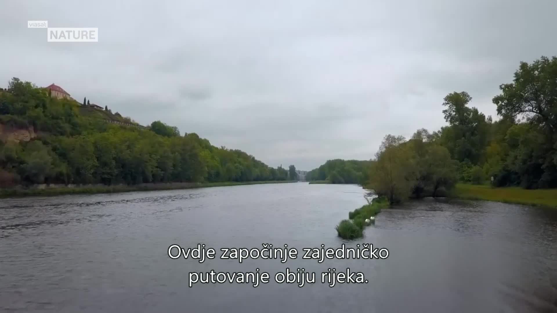 ViasatNature